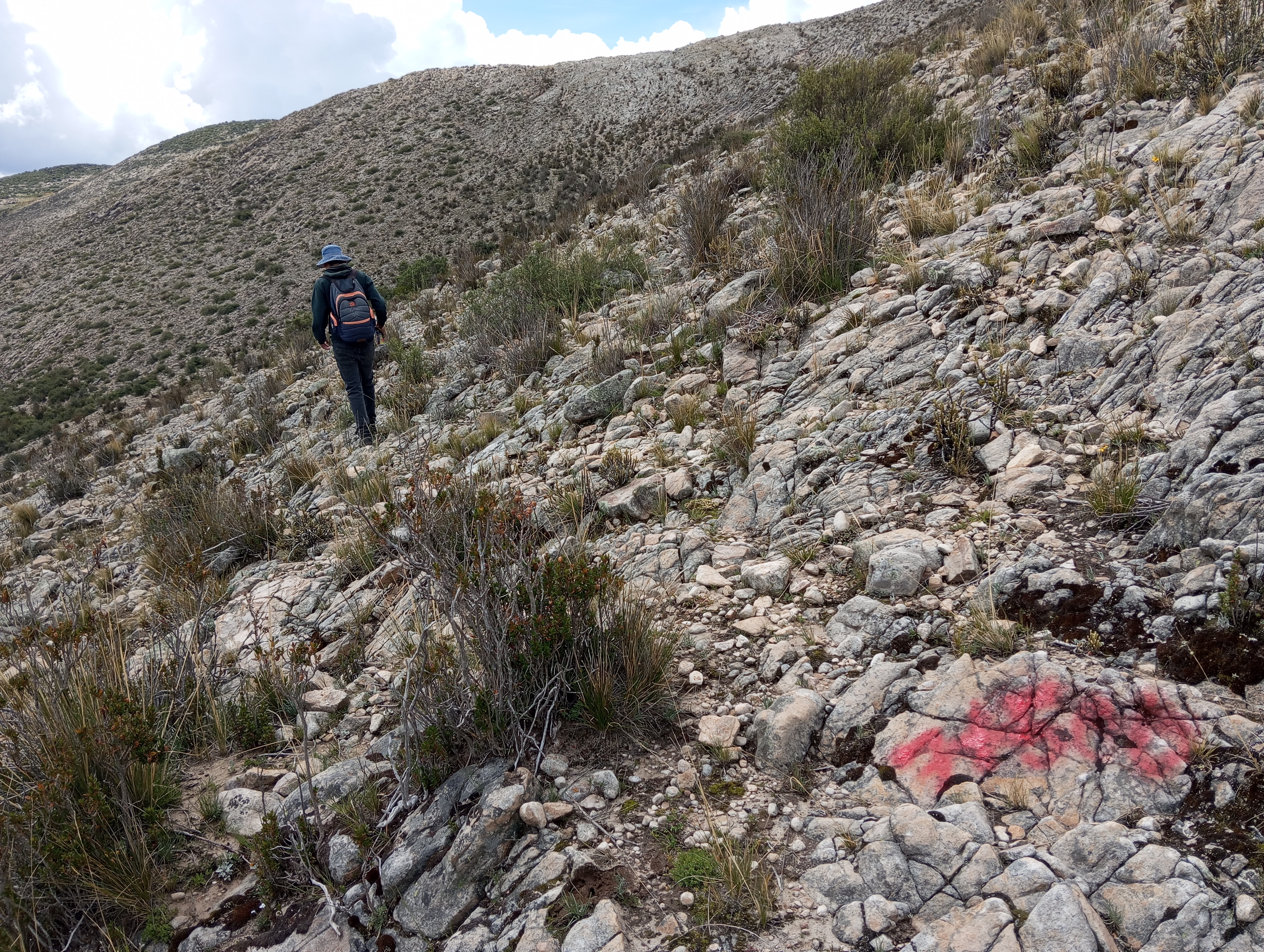 Proyecto Midagri GEOMEGA